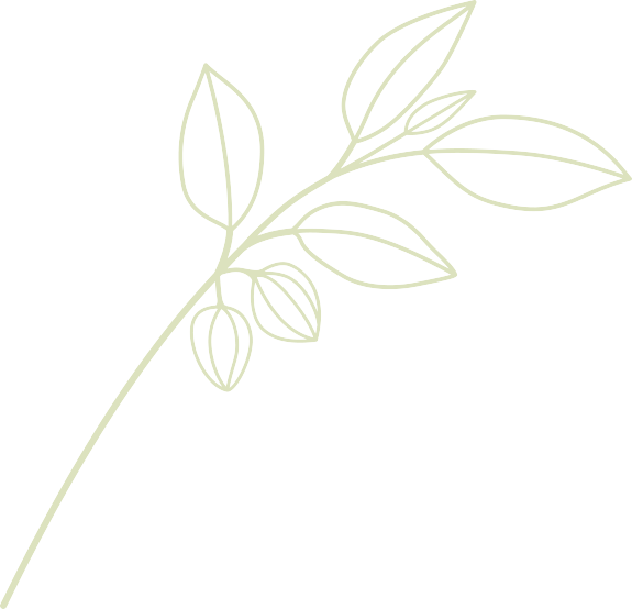 leaf-png